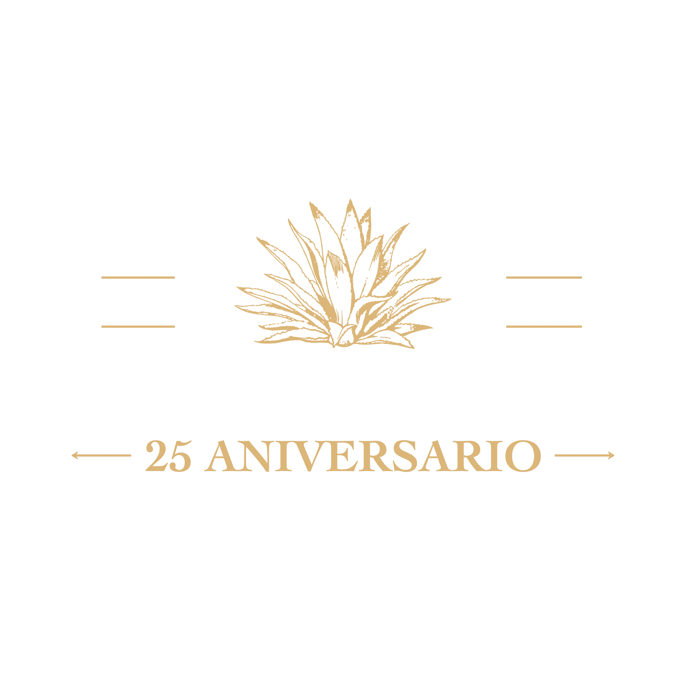 CASALEYROS LOGO 25 ANIVERSARIO