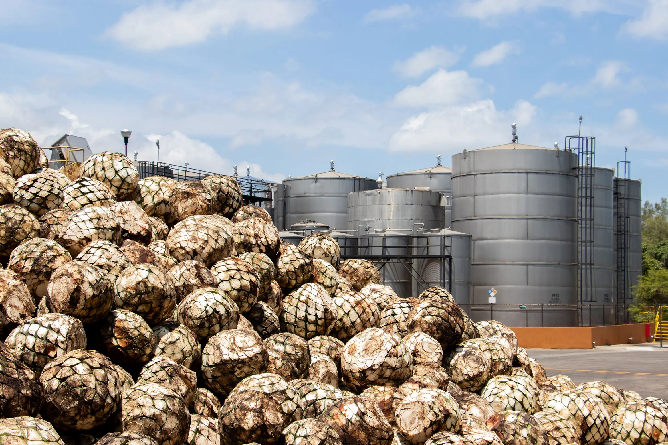 Banner-1-Casa-Leyros