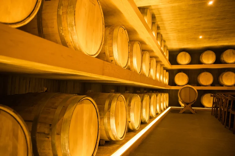 2015 - Innovación de imagen