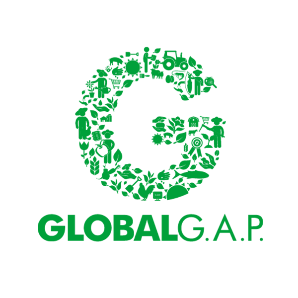Global GAP Cetificación