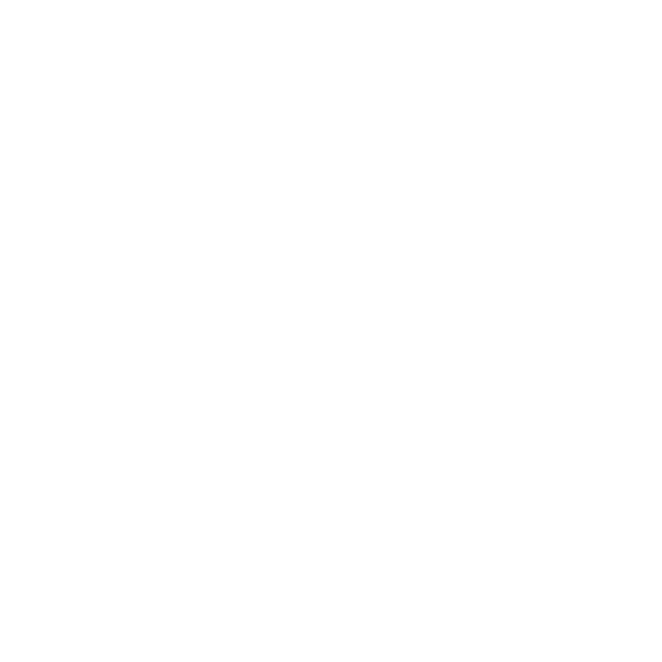 HECHO EN MEXICO2